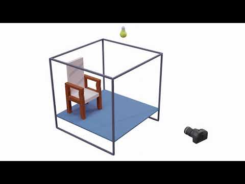 Neural Voxel Renderer: Learning an Accurate and Controllable Rendering Tool