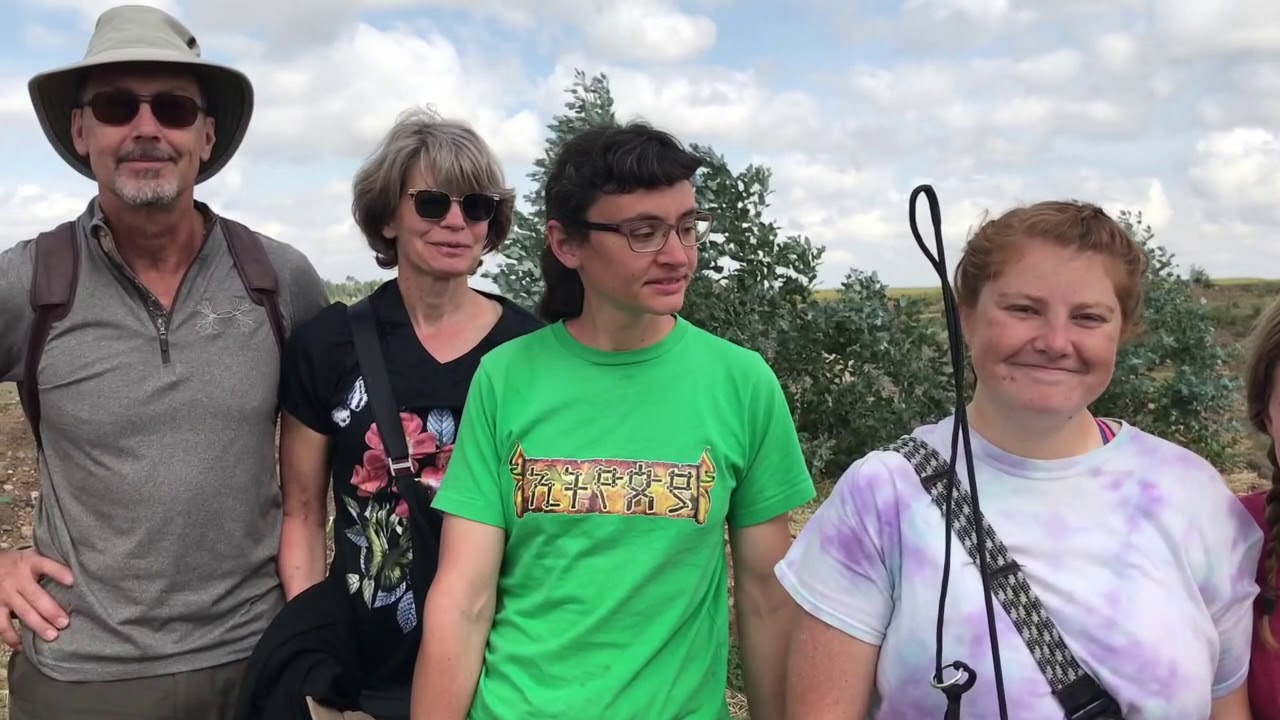 Veterinary Team Ethiopia - YouTube