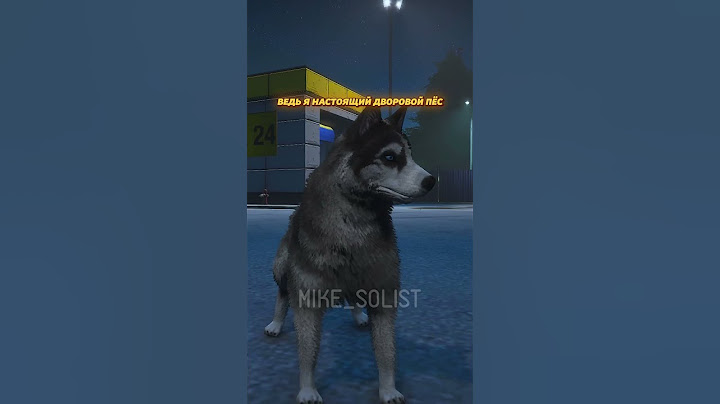 ПРЕВРАТИЛ ВЗЯТОЧНИКА ДПС В СОБАКУ В ГТА 5 (GTA 5 RMRP / Криминальная Москва)
