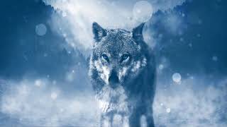 كن ذئبا قبل أن تأكلك الذئاب - أقوال واقتباسات عن حكمة الذئب