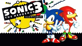 Angel Island Zone (Act 1) | Sonic the Hedgehog 3