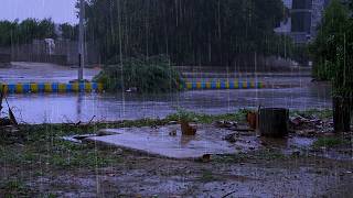 Remove Insomnia With Soft Rain Sounds for Sleeping Dark Screen | 3 Hours Nature Sounds