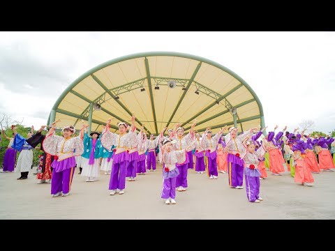 [4K] 合同チーム　つげサンバ　１部　若葉 in ハーベスト 2019　ハーベストの丘