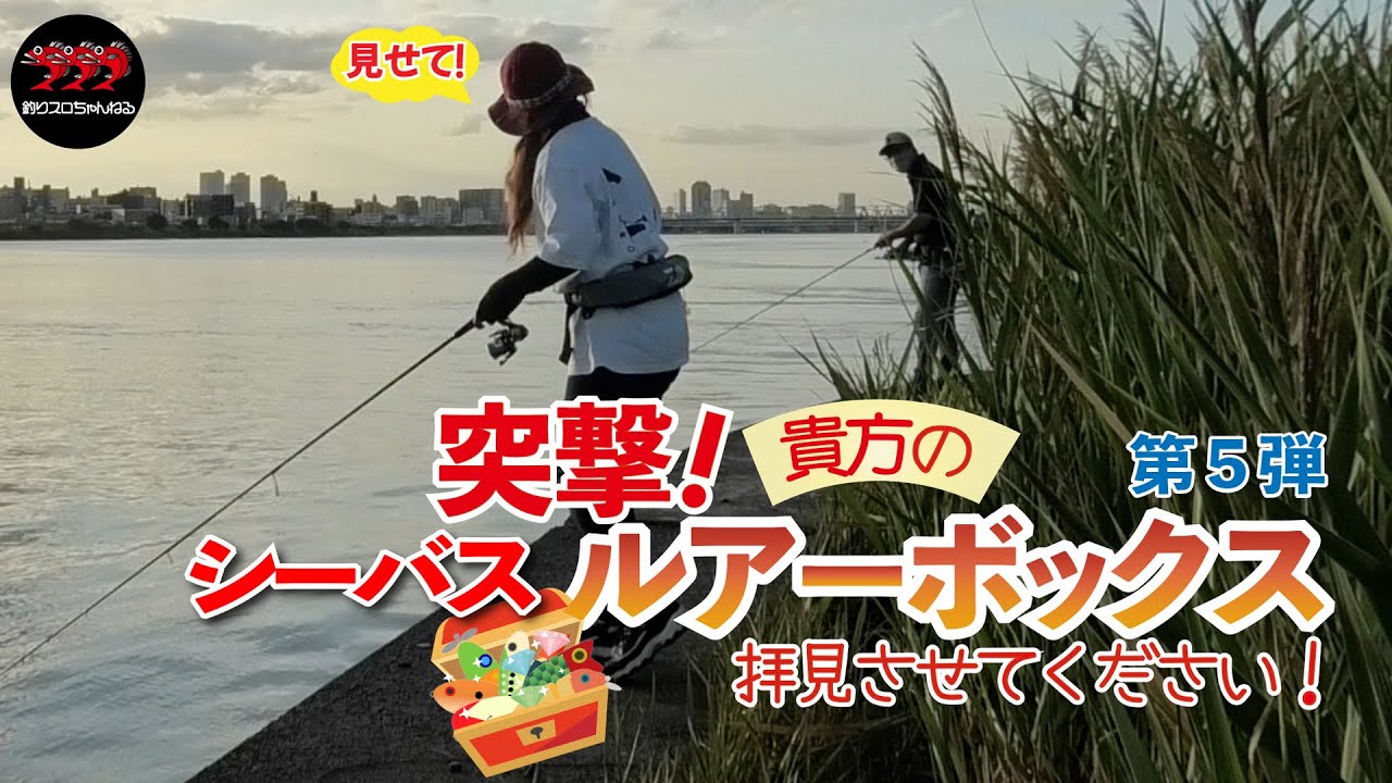 【釣り】突撃！貴方のルアーボックス拝見させてください！第５弾　BlueBlue愛の強いルアーマンさんに会いました～
