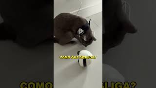 Ele se vingou #trigatos #gatos #gatosfofos #viral