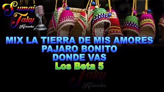 LOS BETA 5 MIX LA TIERRA DE MIS AMORES PAJARO BONITO DONDE VAS KARAOKE