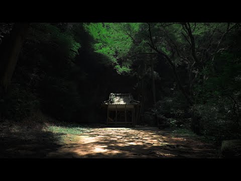 【神社】自然に囲まれた神社⛩️癒し動画