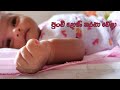 Punchi Doni Tharaha Wela | පුංචි දෝණි තරහා වෙලා | Juke Box 🕹️