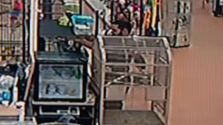 Man steals large snake from Rockwood pet store by stuffing it down his pants