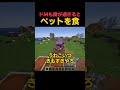ドMも度が過ぎるとこうなります