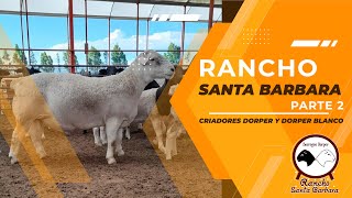 Rancho Santa Barbara Criadores Raza Dorper Parte 2