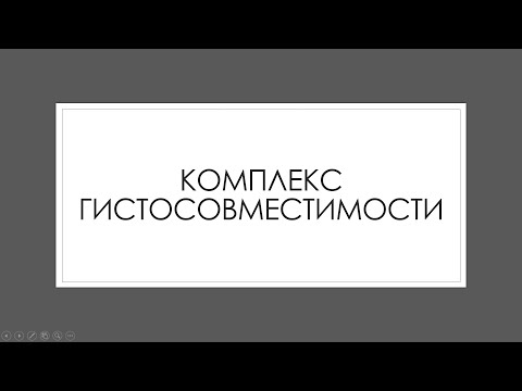Иммунная система 5: Главный комплекс гистосовместимости