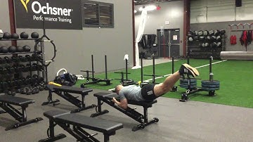 Bench Reverse Hyper