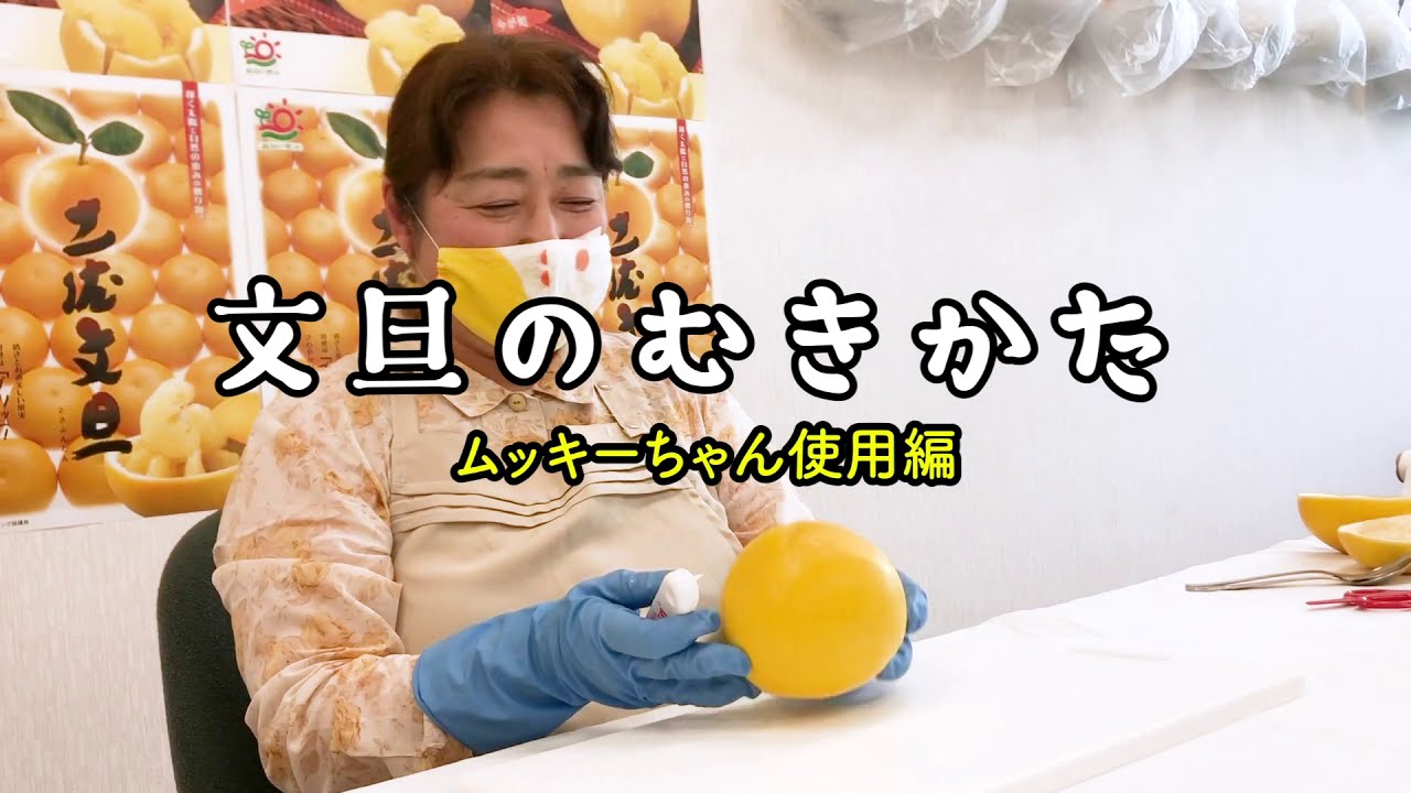 家庭用】土佐文旦 3L約17玉入（約10kg）ムッキーちゃん付: とさのさと