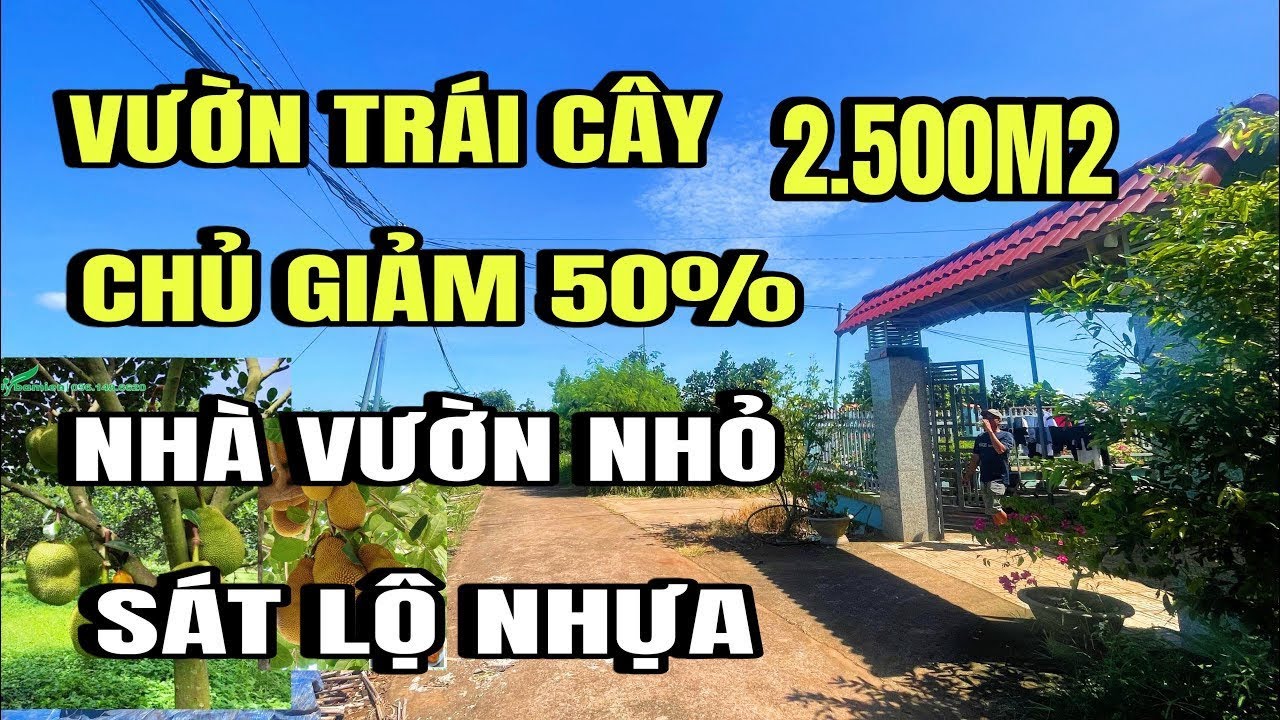 Chính chủ giảm giá bán gấp, 2.5 sào vườn trái cây, thổ cư, sát lộ nhựa, Huyện cẩm Mỹ cũ, Đồng Nai