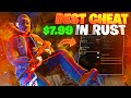 CHEATING in RUST for Just $7.99! (Worth It?)