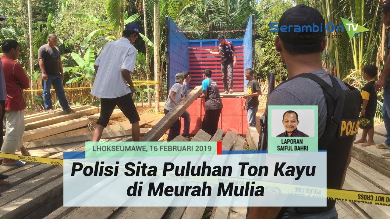 perjalanan ke langkawi Polisi Sita Puluhan Ton Kayu di Meurah Mulia
