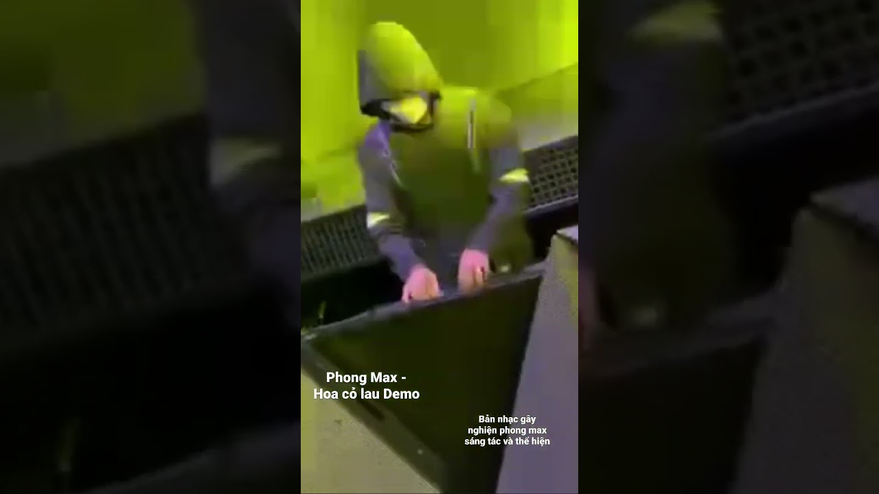 Hoa cỏ lau Demo - Phong Max