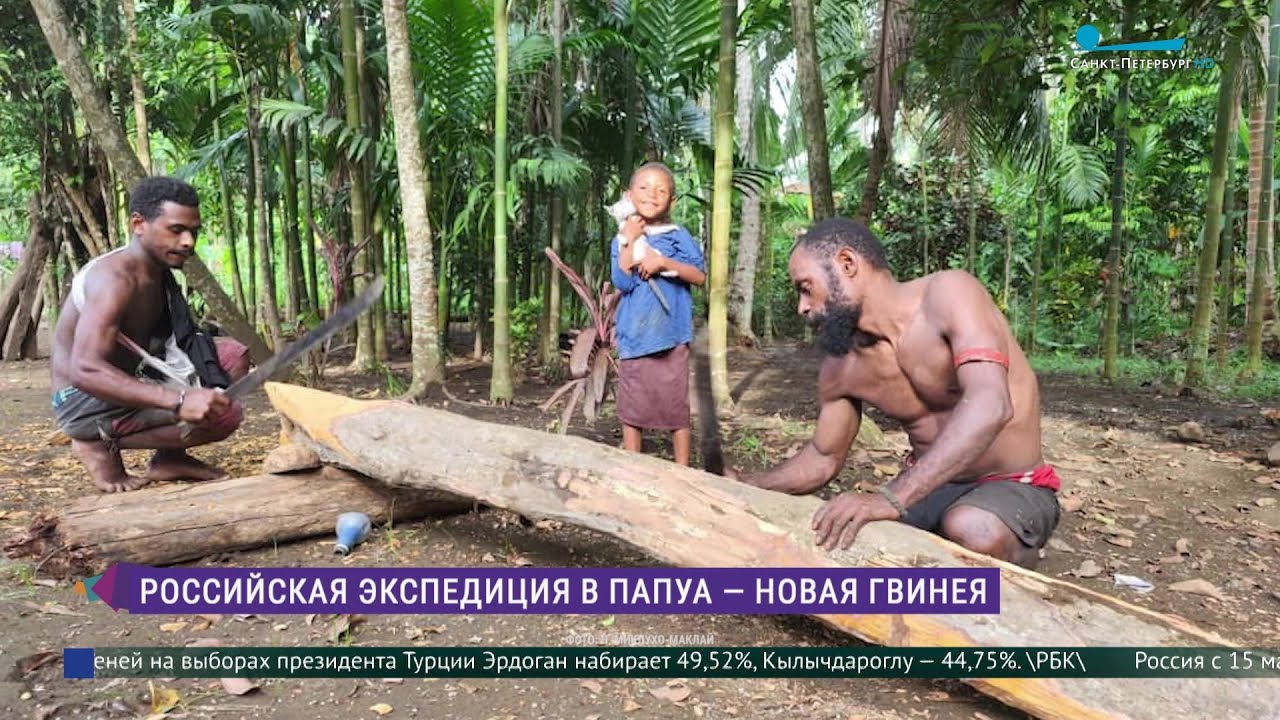 Экспедиция в новую гвинею. Путешествие в новую Гвинею. Индонезия Папуа новая Гвинея.