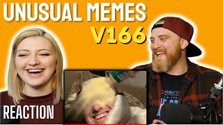 UNUSUAL MEMES V166 @UnusualVideos | HatGuy & Nikki react