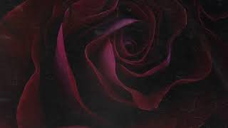 Chris Brown - Him Or Me (Audio)