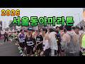 서울동아마라톤 출발 및 골인