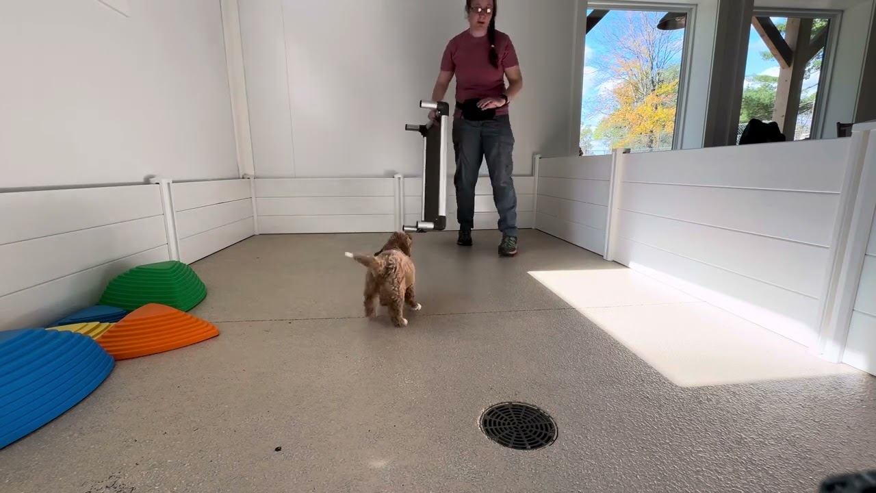 Tobie Training Session 10/29