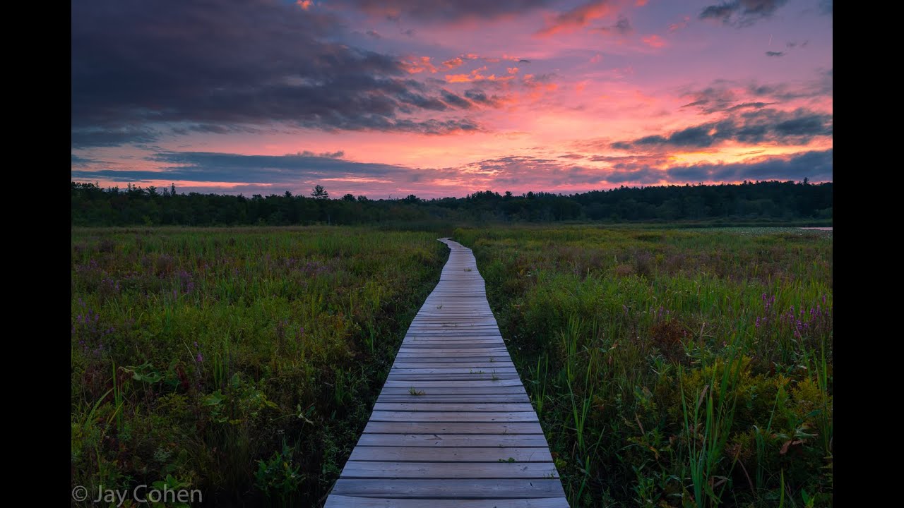 Photography at the Little Pond Boardwalk Trail YouTube