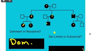 Pedigree NOTES