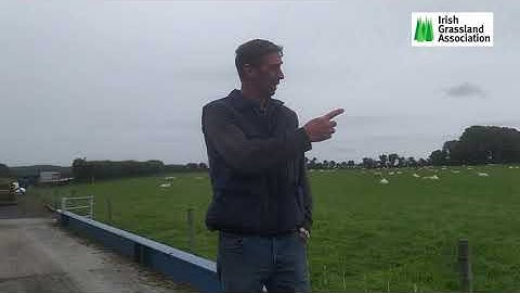 7 IGA Sheep Event 2020 Ned Morrissey Sheep System and outdoor lambing