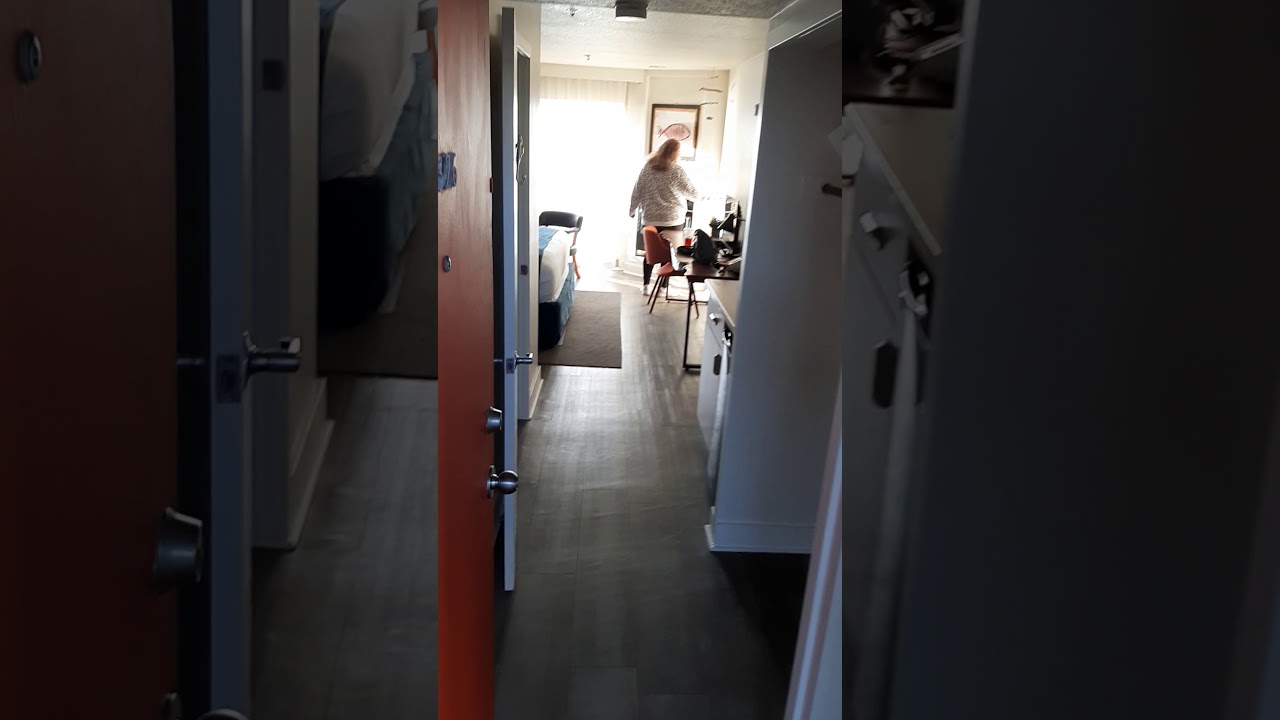 our Telly at Surftides in Lincoln city Oregon