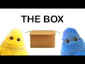 Jumbah and friends Season 1 episode 6 The Box