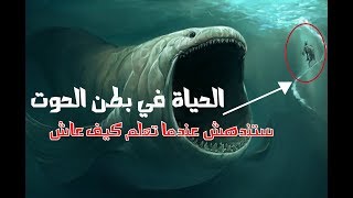 كم لبث نبي الله يونس في بطن الحوت !؟