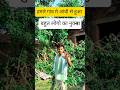 बहुत लोगो का बर्बाद हो चुका है #ytshorts #vairal ....
