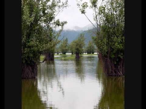 Arazbari - Hacibaba Hüseynov