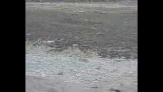 Çankiri Korgun Keseci̇k Köyü 12