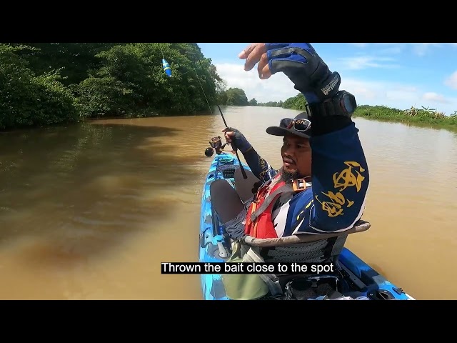 DevilCraft Fishing TV #71 - Ikan Kaloi u0026 Ikan Sultan, Sungai Kedah class=