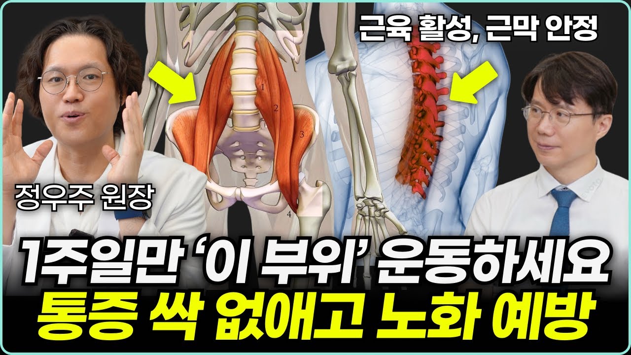 '이 근육' 딱 1주일만 운동, 스트레칭 해보세요. 통증 사라지고 노화 예방됩니다. | 정우주 원장님 통합본