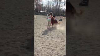 Getting Bucked Off A Miny Ponymust Watch