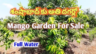 Mango Farm For Sale In Shabad, Hyderabad || Full Water | Farm Land