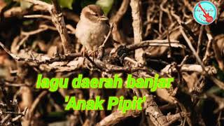 Cover lagu daerah Banjar 'anak pipit'