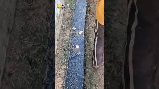 Ansh dj 4 bass me pani hila diya #vibration #bass #hardbass #fypシ #fypシ゚viral #fypyoutube #fypp