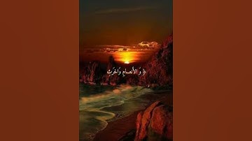 زُيِّنَ لِلنَّاسِ حُبُّ الشَّهَوَاتِ مِنَ النِّسَاءِ وَالْبَنِينَ ...... (14) / سورة ال عمران