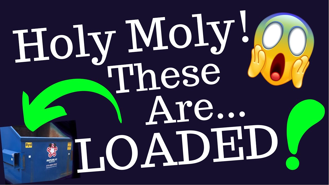 DUMPSTER DIVING - I Found 24K GOLD In The Trash! I Went Diving On My Birthday & SCORED At 8 Stores!