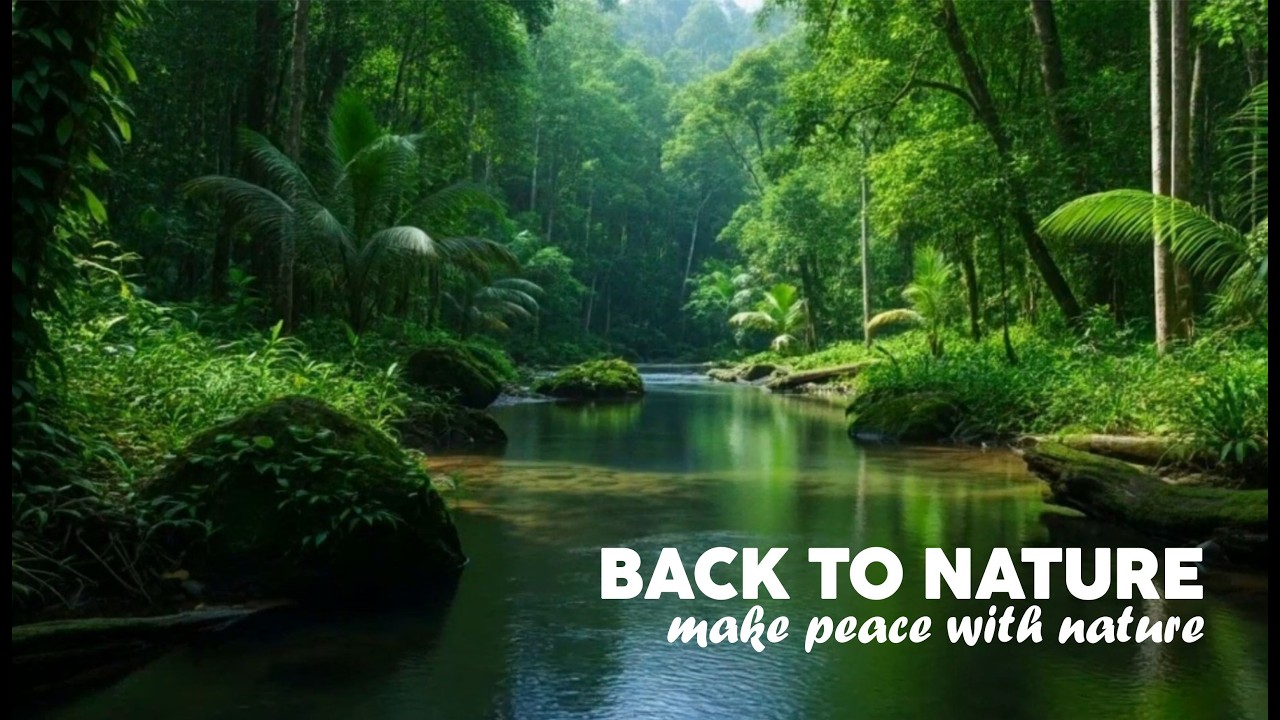 make peace with nature,fyp