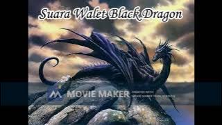 Suara walet black dragon