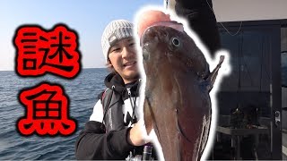 宮城県沖で謎の魚が釣れた！！！