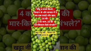 "नींबू 4 रुपये किलो... किसान से और बाजार में 5 का एक दवाई और खाद 35 की। 4 का माल, 35 की मार-किसान
