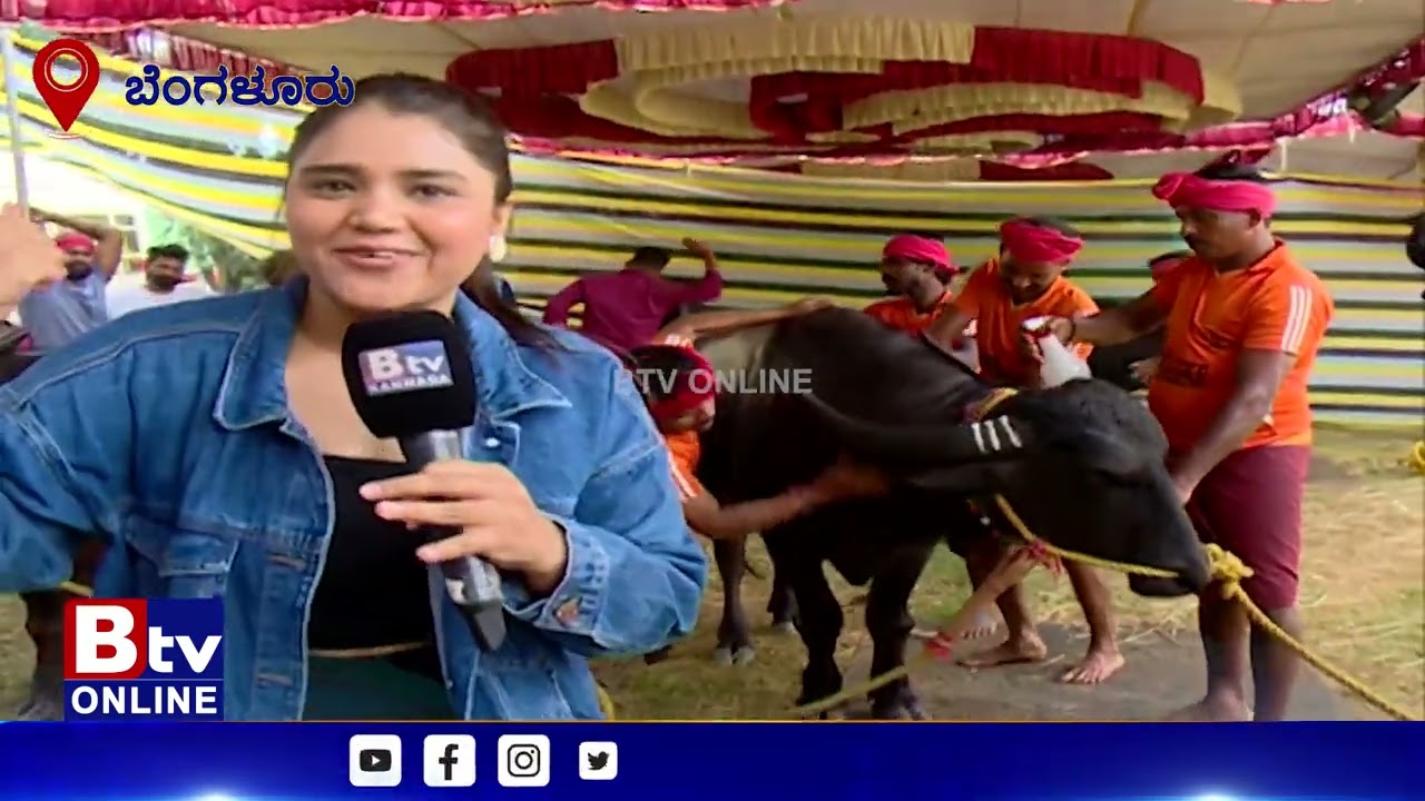 AC ರೂಂ ​ನಲ್ಲಿ ಮಲಗುವ ಕೋಣಗಳನ್ನ ನೋಡಿದಿರಾ.?