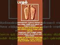#nature#health#tips#tamil